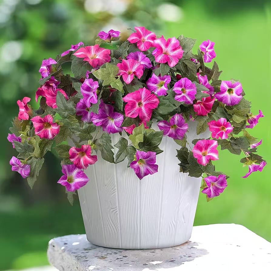 🔥 $9.97 On Sale Today Only 🌺UV-Resistant Lifelike Artificial Gradient-Colored Morning Glory