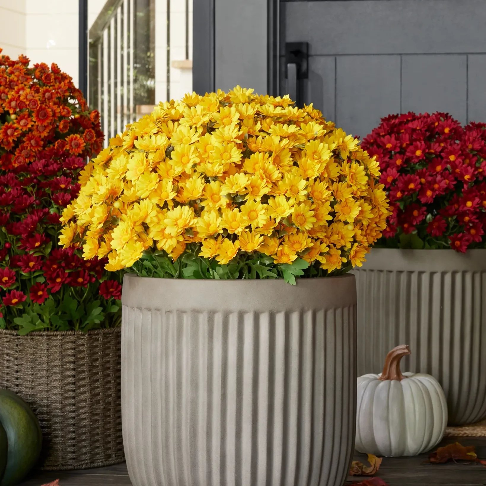 🔥$4.99 HOT Sale🌻Artificial Outdoor Sunset Mums Flowers - UV resistant, Waterproof, Windproof