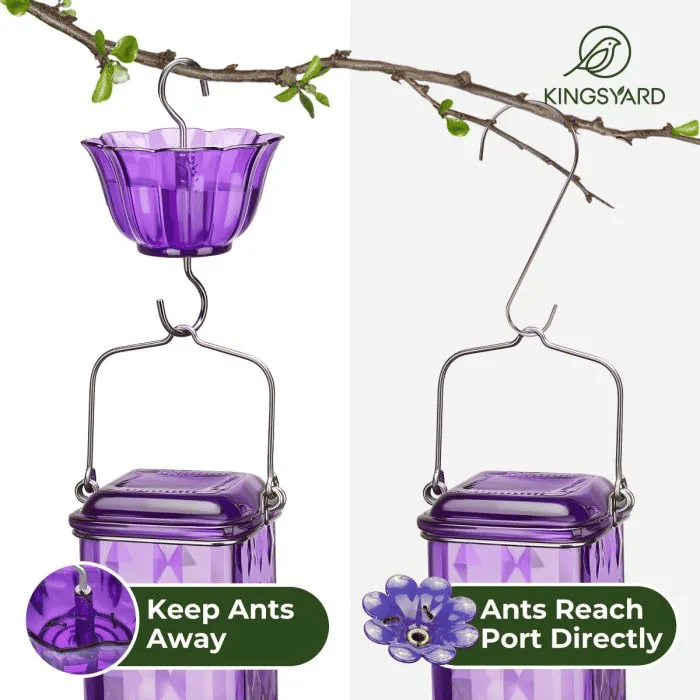 💥Last Day Sale 49% Off💥24oz Leak Proof  Hummingbird Feeder with Ant Moat