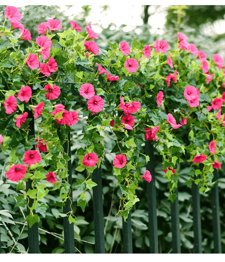 (🔥$14.99 Only Today!🔥)💐UV Simulation Artificial flower🌺