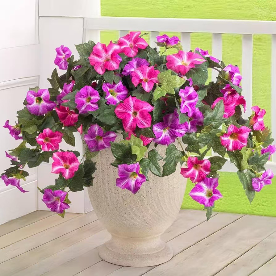 🔥 $9.97 On Sale Today Only 🌺UV-Resistant Lifelike Artificial Gradient-Colored Morning Glory
