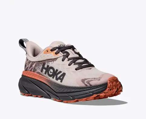 hkhjgoka Challenger 7 GORE-TEX Cosmic pearl / Galaxy