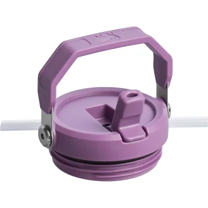 stakhjgnley The IceFlow 20 oz Classic Flip Straw Tumbler