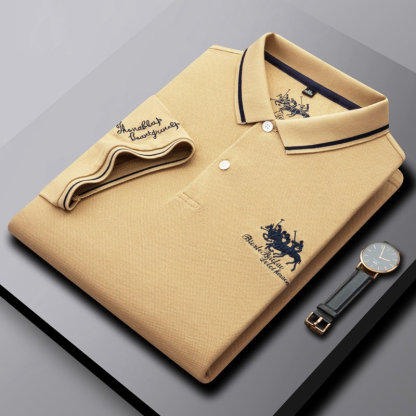 Ethan | Modische Poloshirts für Herren【Nur heute 70 % Rabatt】