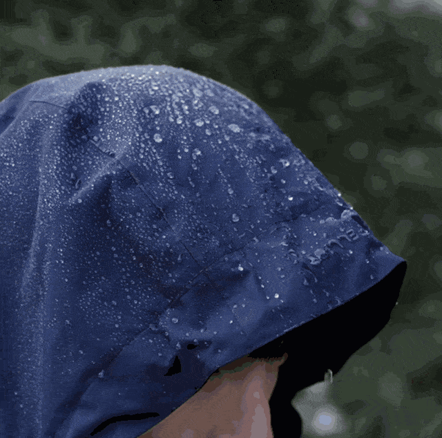02.gif