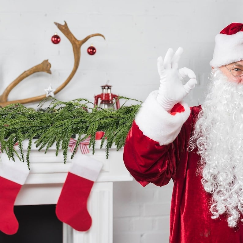 🌲Early Christmas SALE: 60% OFF✨ Natural Christmas Greenery - Norfolk Pine Garland🌲