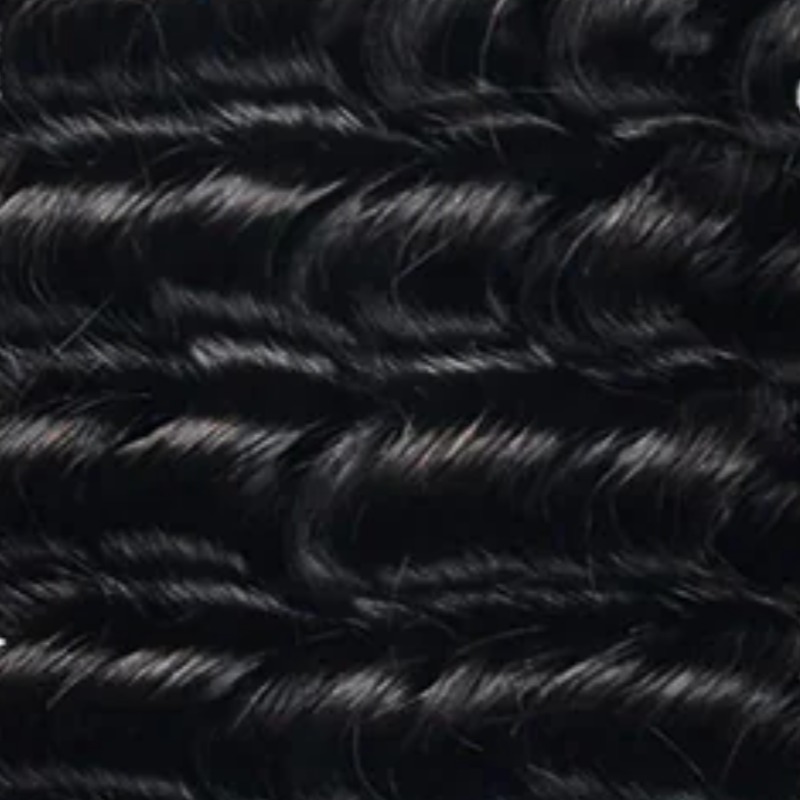 Jet Black Hair Extensions (#1)