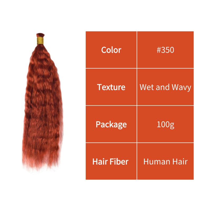 Wet and Wavy Bulk Human Hair - #350 Hair Extensions