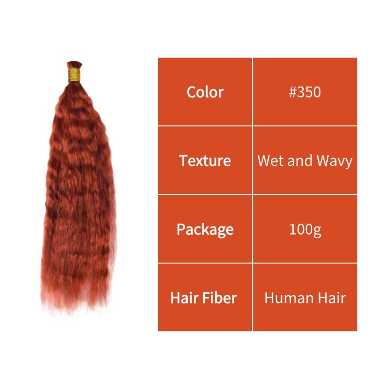 Wet and Wavy Bulk Human Hair - #350 Hair Extensions