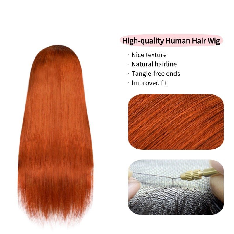 13x4 HD Lace Front Wig - #350 Straight Human Hair Wig