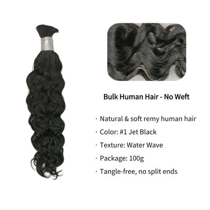 Water Wave Bulk Human Hair - #1 Braiding Hair