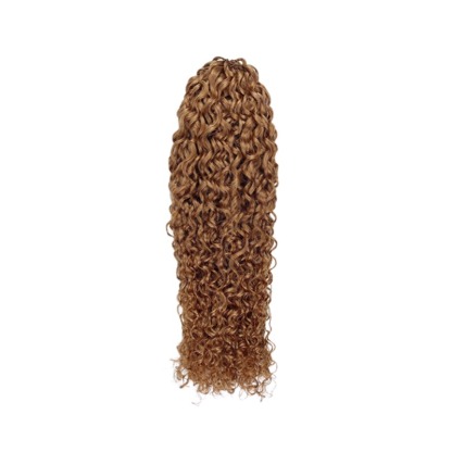 Crochet Braids - #30 Pixie Curly Human Crochet Hair