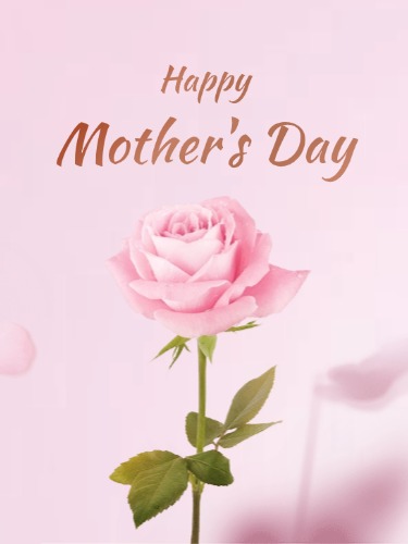 {"default":"Mother's Day"}

