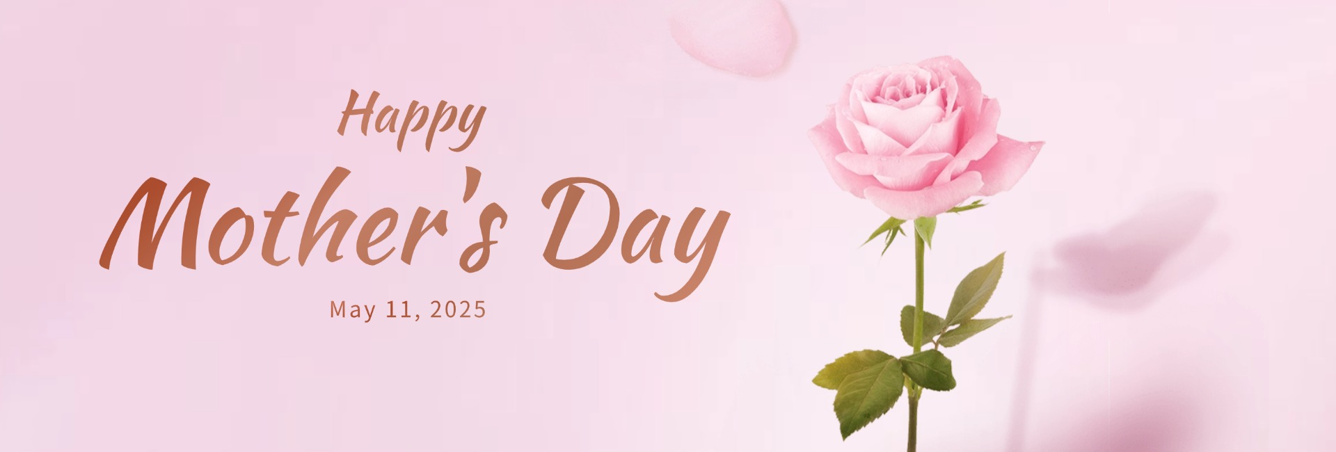 {"default":"Mother's Day"}
