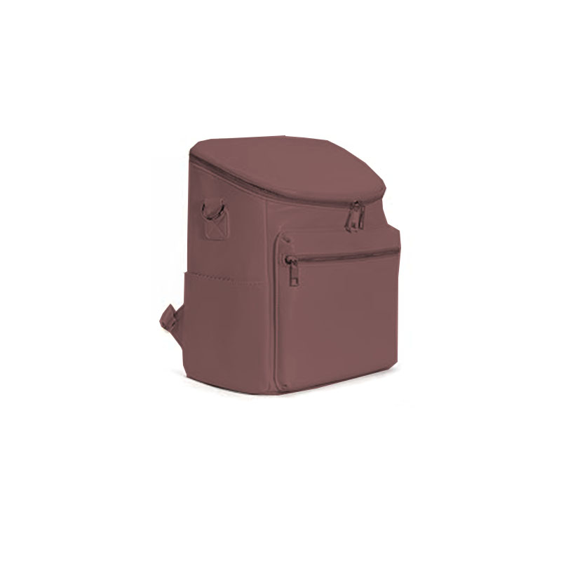 17L Classic Laptop Backpack