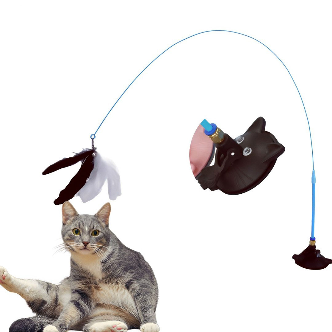 🐈Suction Cup Cat Toy🐾