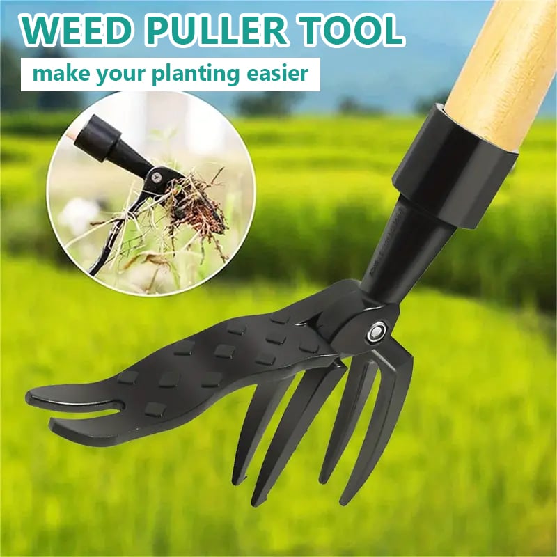 (👍1w+ Happy Customers)-New Detachable Weed Puller