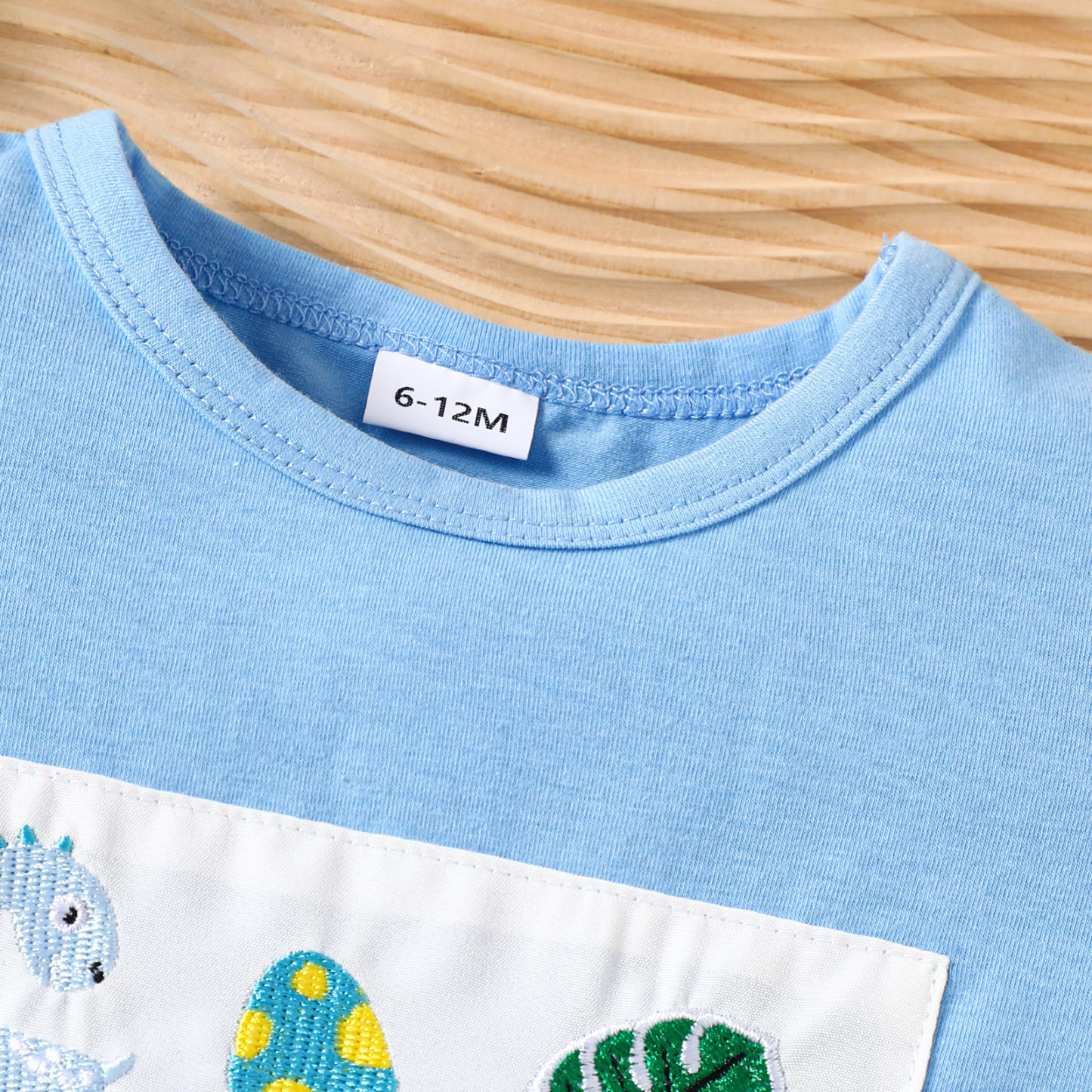 Baby Boy Dinosaur Embroidery Suit