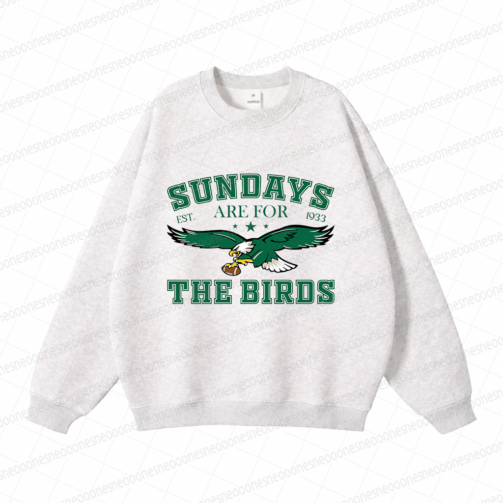 Baby/Toddler Football Sweatshirt & Pants Set and Adult Sweatshirt