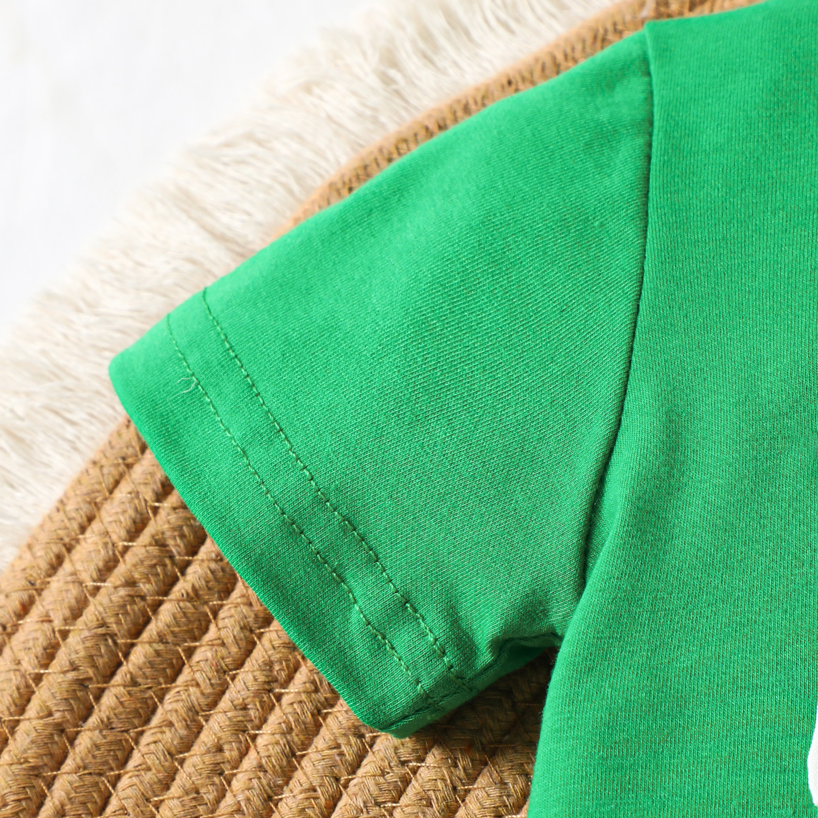 Baby Boy Dinosaur Embroidery Suit