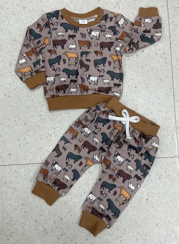 Long-sleeved Denim Print Sweatshirt Set