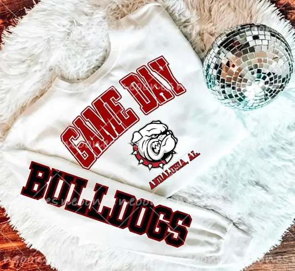 Baby Game Day Romper and Adult Sweatshirt