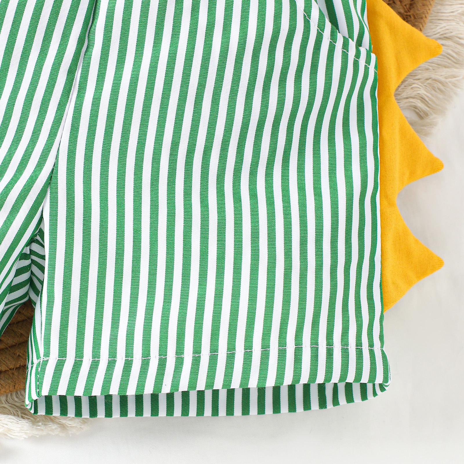 Baby Boy Dinosaur Embroidery Suit