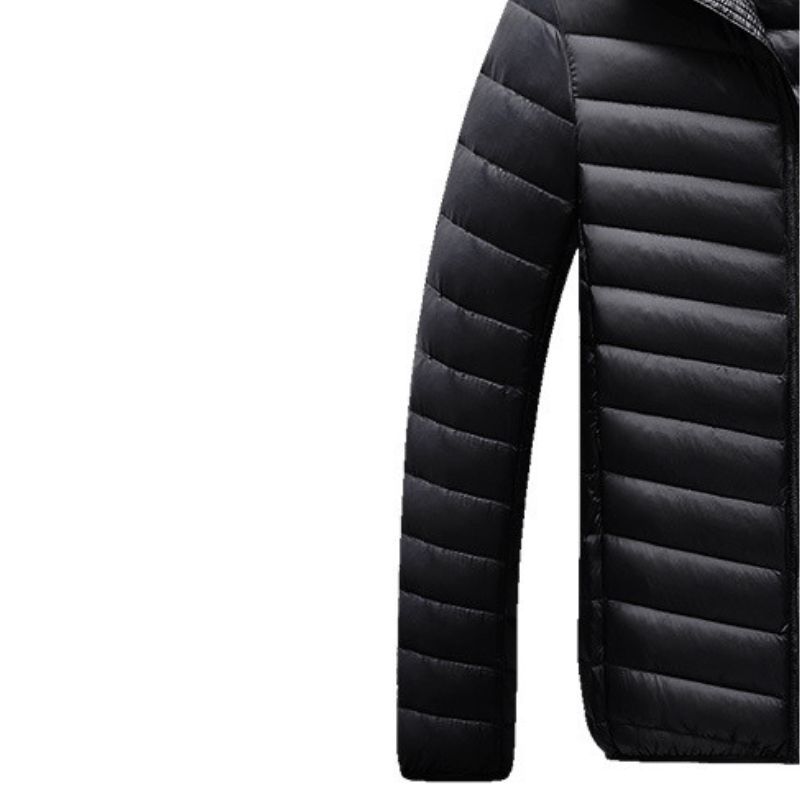 JACKETW Men's Winter Slim Fit  Hood Casual Slim Down Jacket -ZH126