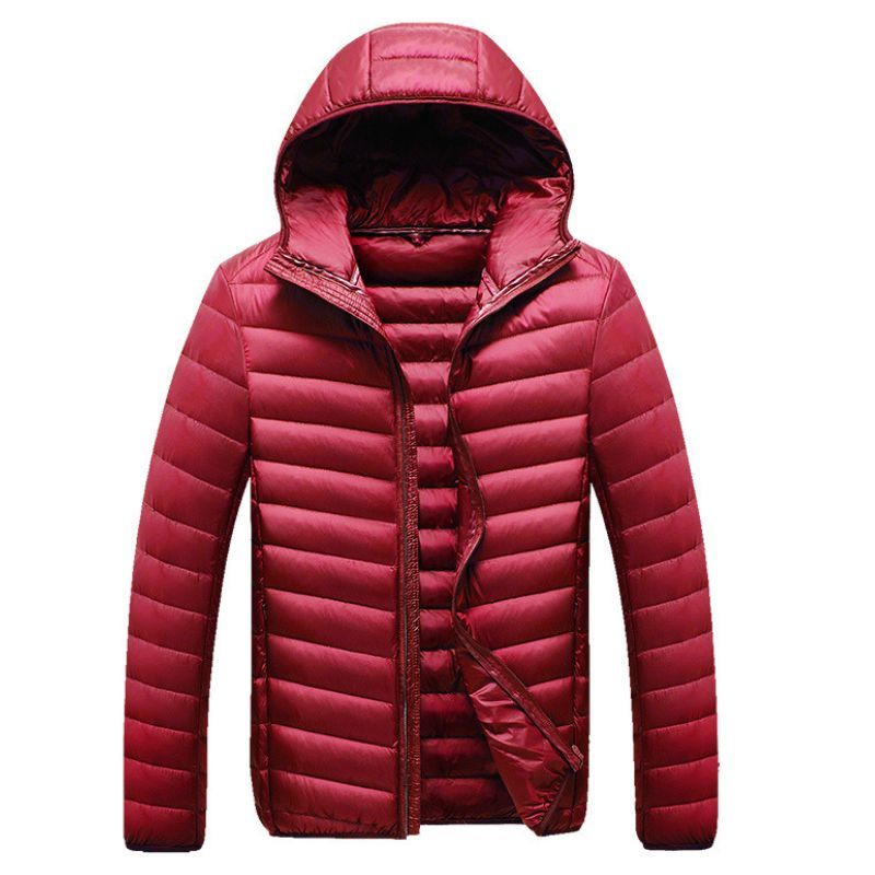 JACKETW Men's Winter Slim Fit  Hood Casual Slim Down Jacket -ZH126