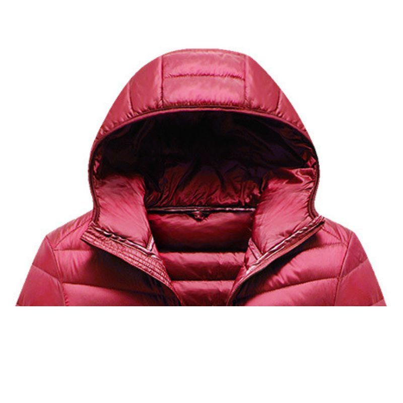 JACKETW Men's Winter Slim Fit  Hood Casual Slim Down Jacket -ZH126