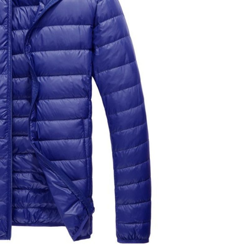 JACKETW Men's Fashion Hooded Puffer Lightweight Packable Down Jacket-ZH109