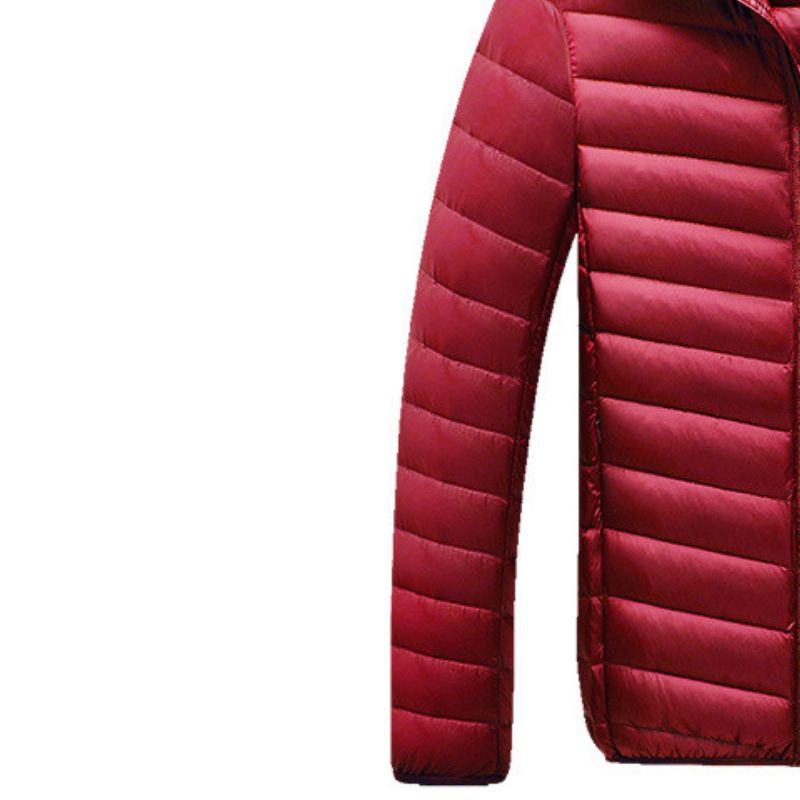 JACKETW Men's Winter Slim Fit  Hood Casual Slim Down Jacket -ZH126