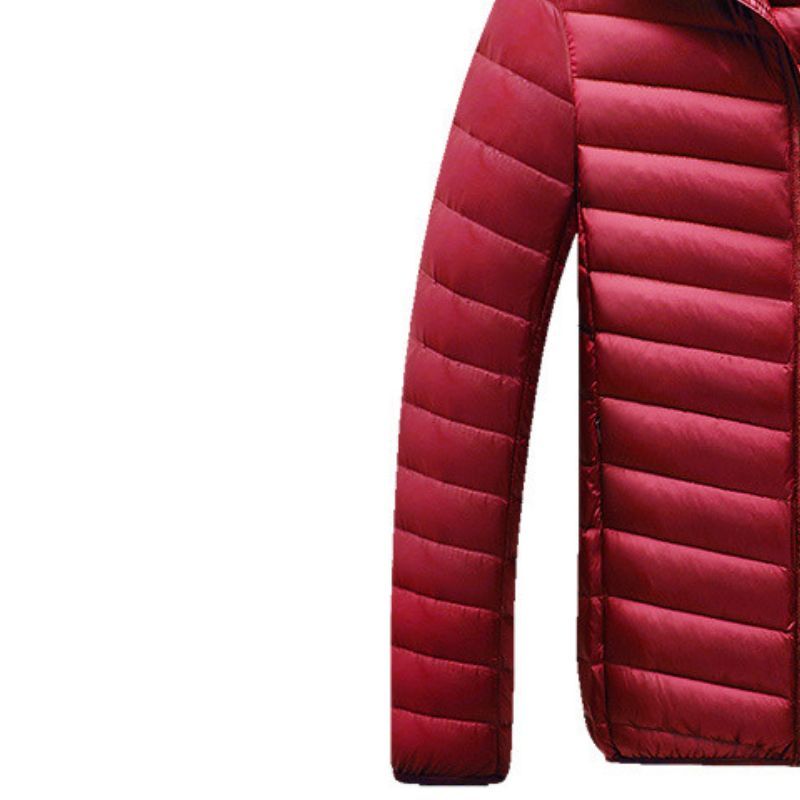 JACKETW Men's Winter Slim Fit  Hood Casual Slim Down Jacket -ZH126