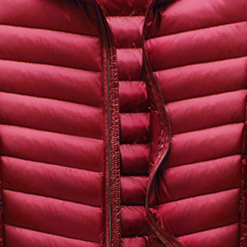 JACKETW Men's Winter Slim Fit  Hood Casual Slim Down Jacket -ZH126