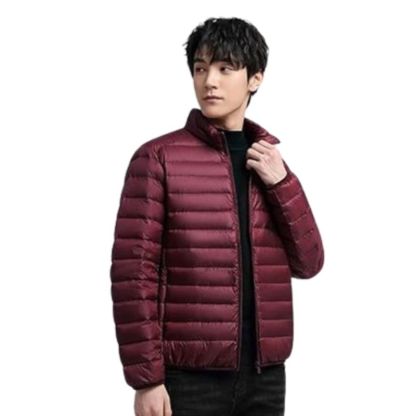 JACKETW Men's Winter Ultra Light Packable Down Hooded Slim Jacket-TU20190625H