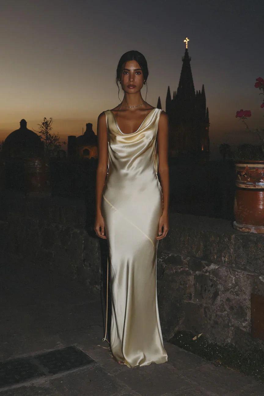 Vivienne Dress-VibeCloset