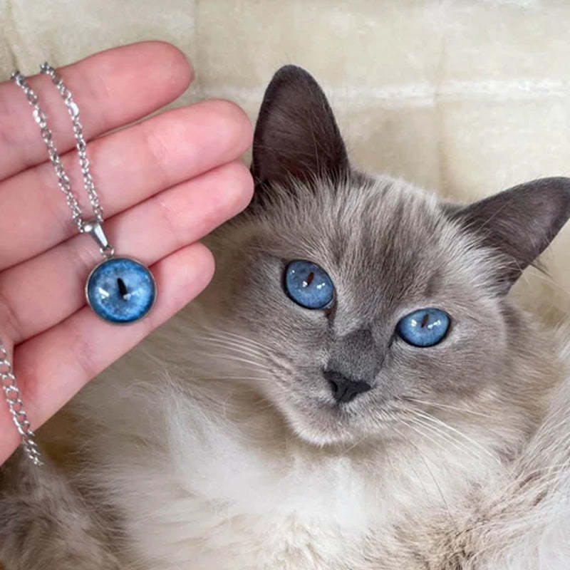 Collier personnalisé pour les yeux de votre animal de compagnie