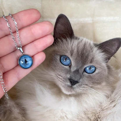 Collier personnalisé pour les yeux de votre animal de compagnie
