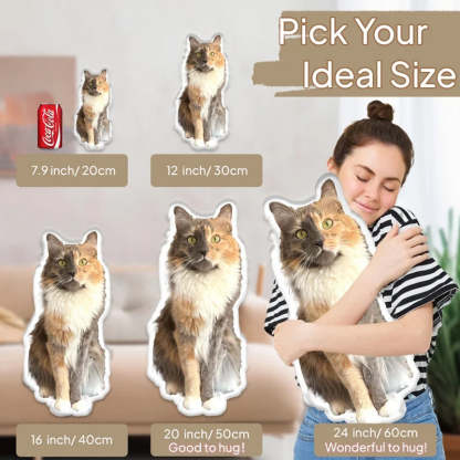 Coussin 3D personnalisé pour animaux de compagnie à partir d'une photo