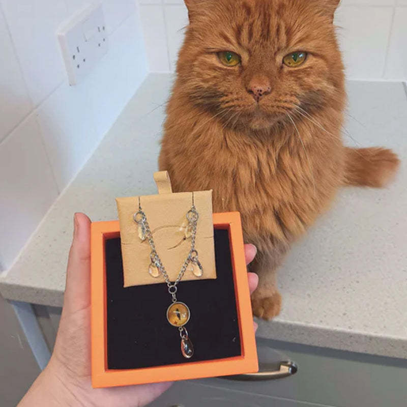 Collier personnalisé pour les yeux de votre animal de compagnie