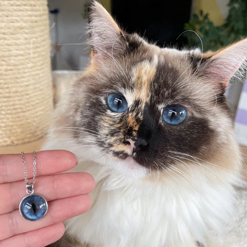 Collier personnalisé pour les yeux de votre animal de compagnie