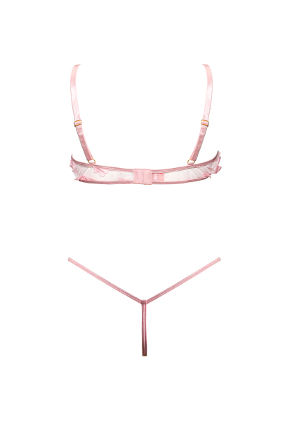 Free Tonight - Dreamingbaby Pink Butterfly Embroidery Mesh Underwire Bra & G-String Set