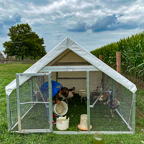 ⚡🔥Large Chicken Coop with Tarpaulin (For 20~100 Chickens)🐔