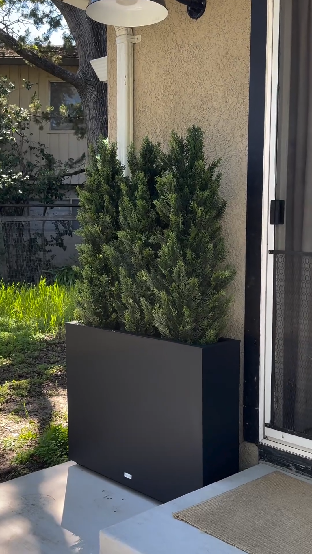 Beautiful privacy screen with cedar trees & planters lit up at night with solar lights
