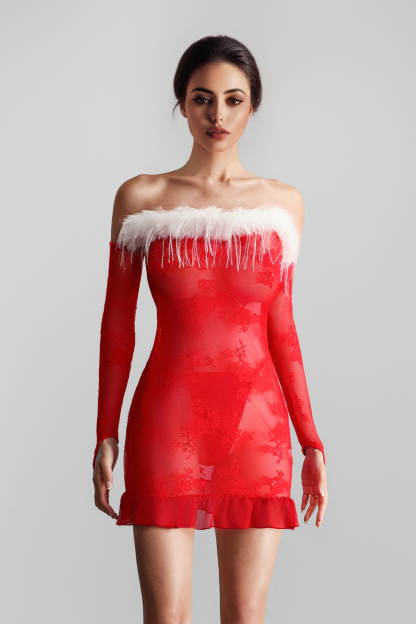 Seductive Red Lace Sheer Christmas Lingerie Dress Set 