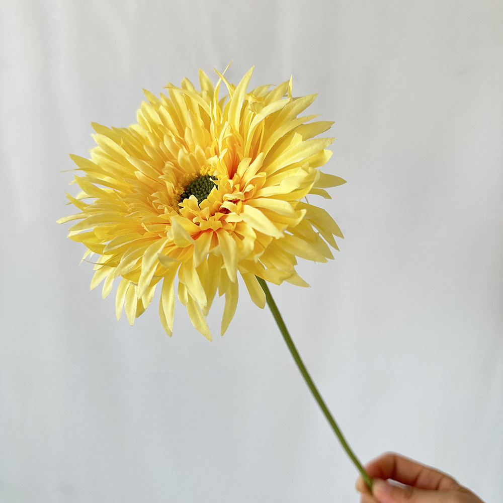 🌼2025 Hot Sale🔥Realistic Artificial Spider Gerbera Daisies💐