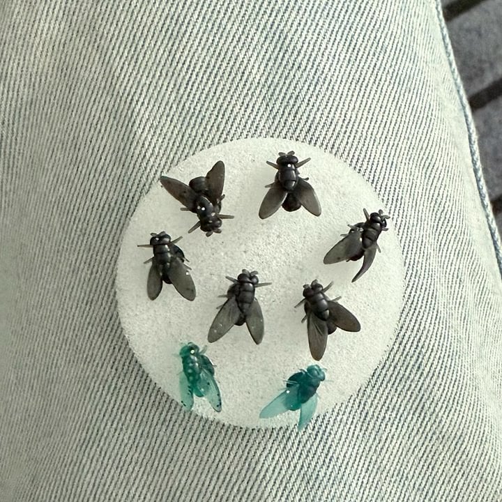 Mini personalized simulated black fly unique earrings