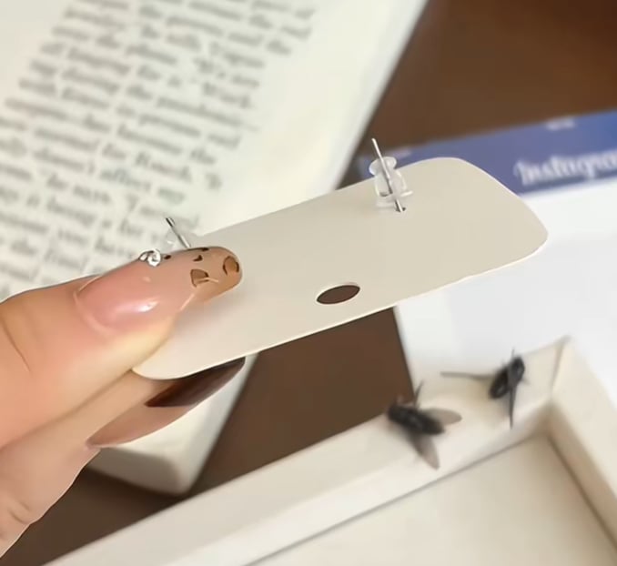 Mini personalized simulated black fly unique earrings