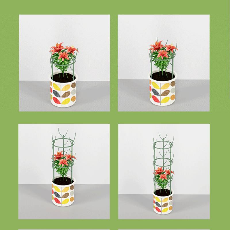 🔥Hot Sale 49% OFF🔥 Plant Support Stakes🌿