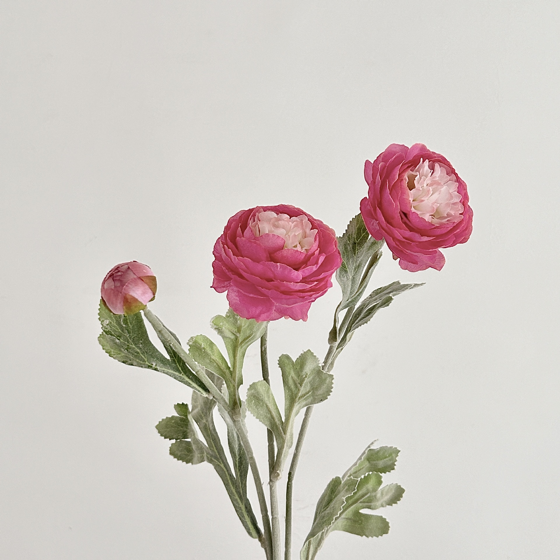 💖$8.99 Today Only - Artificial Peonies Flowers for All Year Round💐